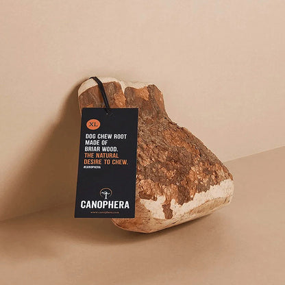 Hundekauwurzel aus Baumheide