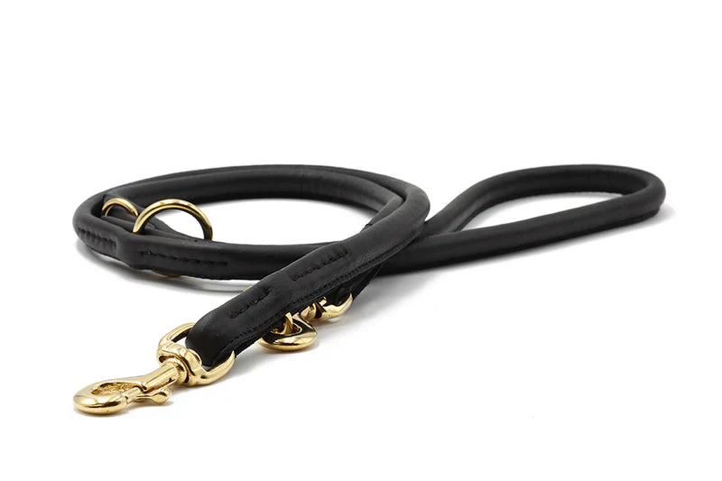 Lederleine rundgenäht 2m Gold - Schwarz