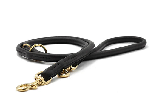 Lederleine rundgenäht 2m Gold - Schwarz