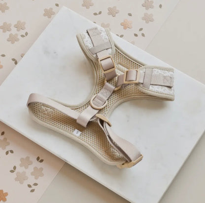 Luxuriöses Geschirr- Gartenwiese