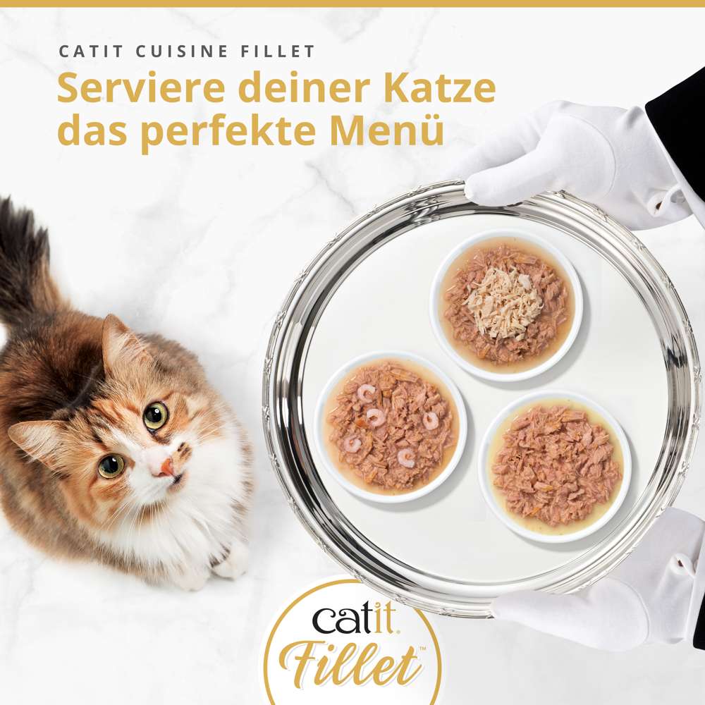 Catit Cuisine Thunfisch Fillet 75g