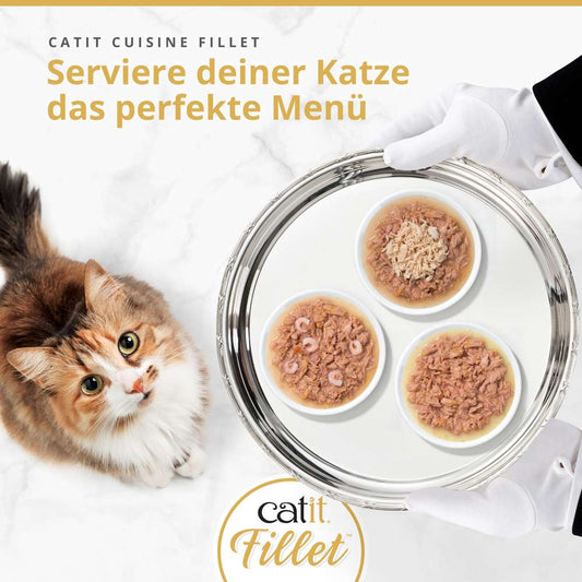 Catit Cuisine Thunfisch Fillet 75g