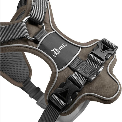 Geschirr Divo, braun/grau