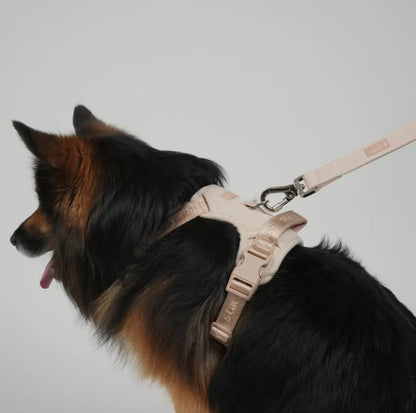 Leine Elma, Hellrosa