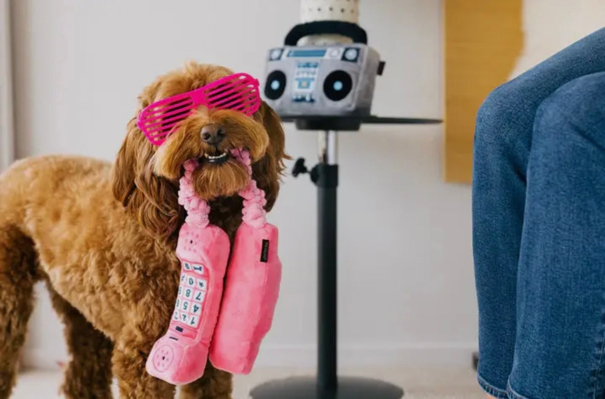 Hundespielzeug Telefon