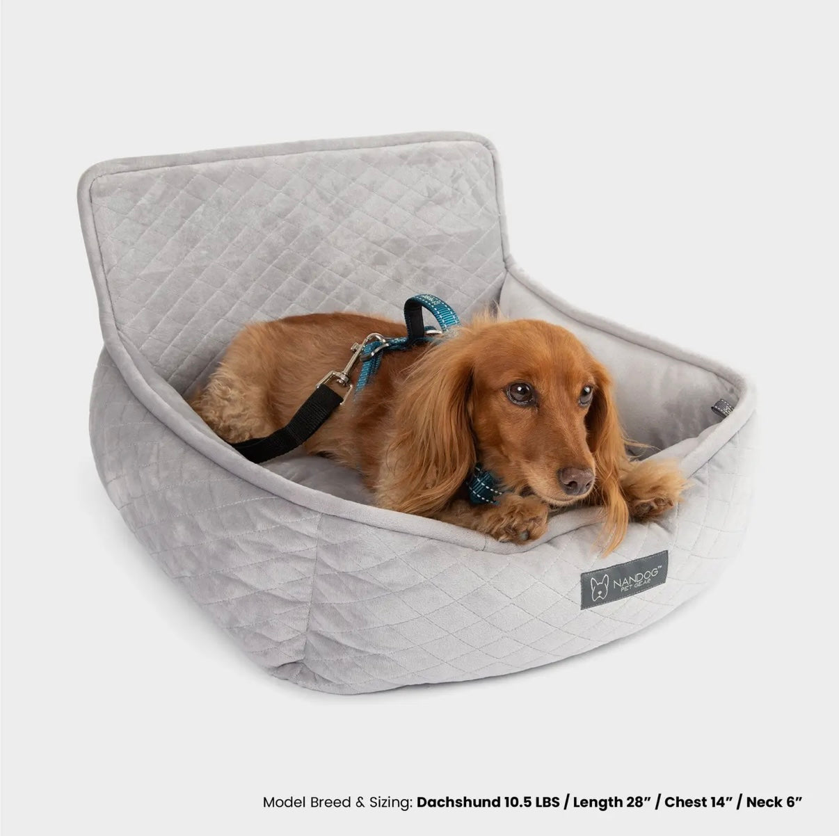 Autositz Grau S