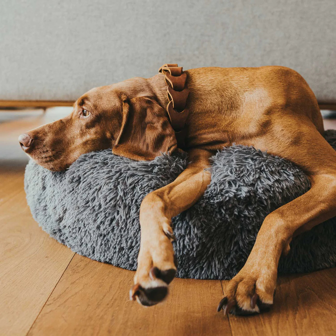 Hundebett Donut Loppa anthrazit