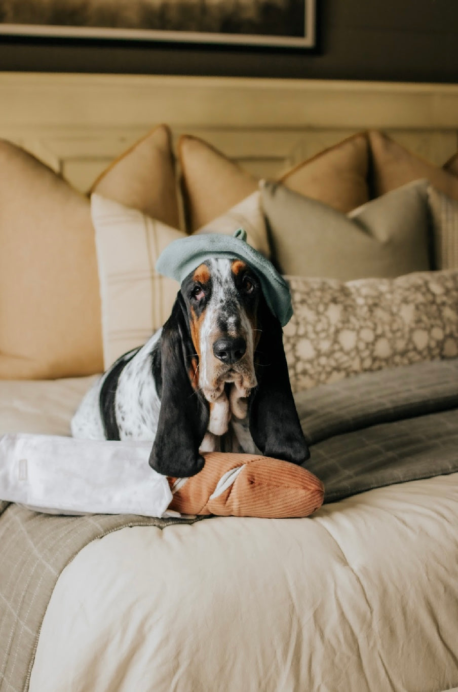 Hundespielzeug Baguette