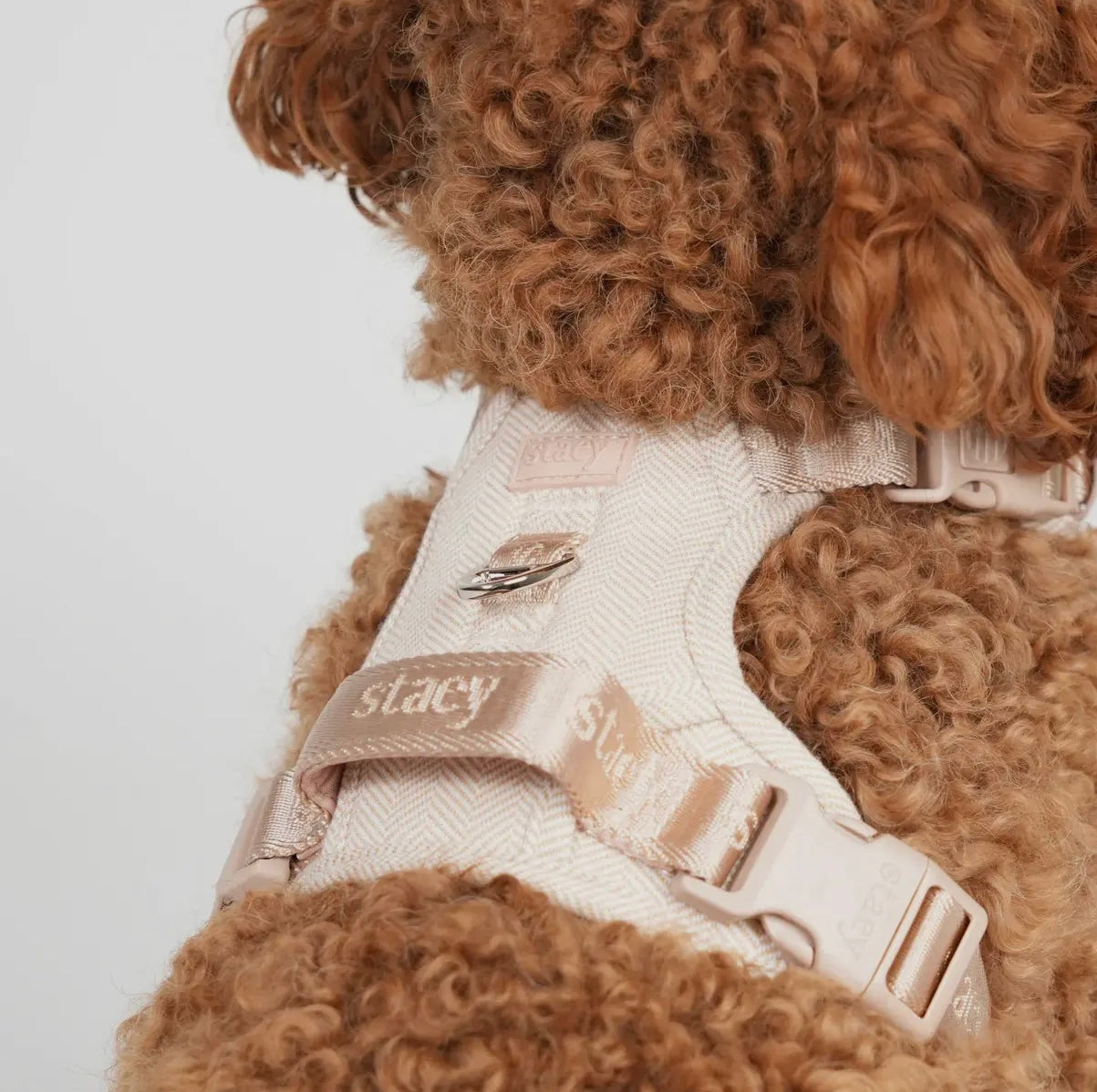 Geschirr Elma, Hellrosa