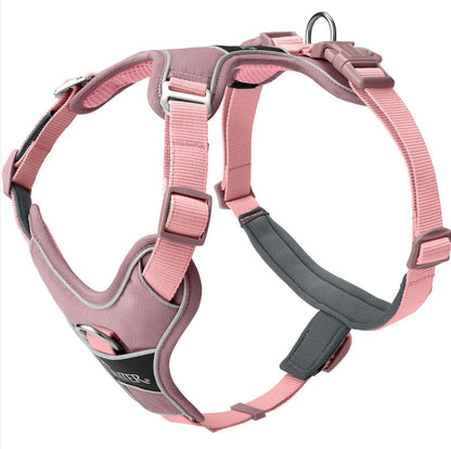 Geschirr Divo Up, altrosa