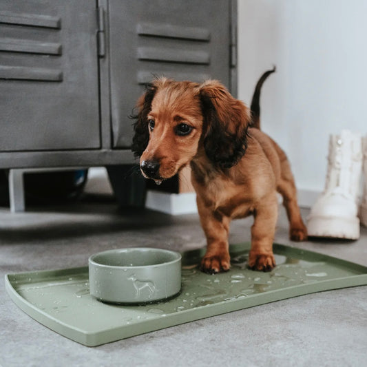 Napfunterlage Selection Silikon khaki