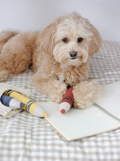 Hundespielzeug Buntstifte