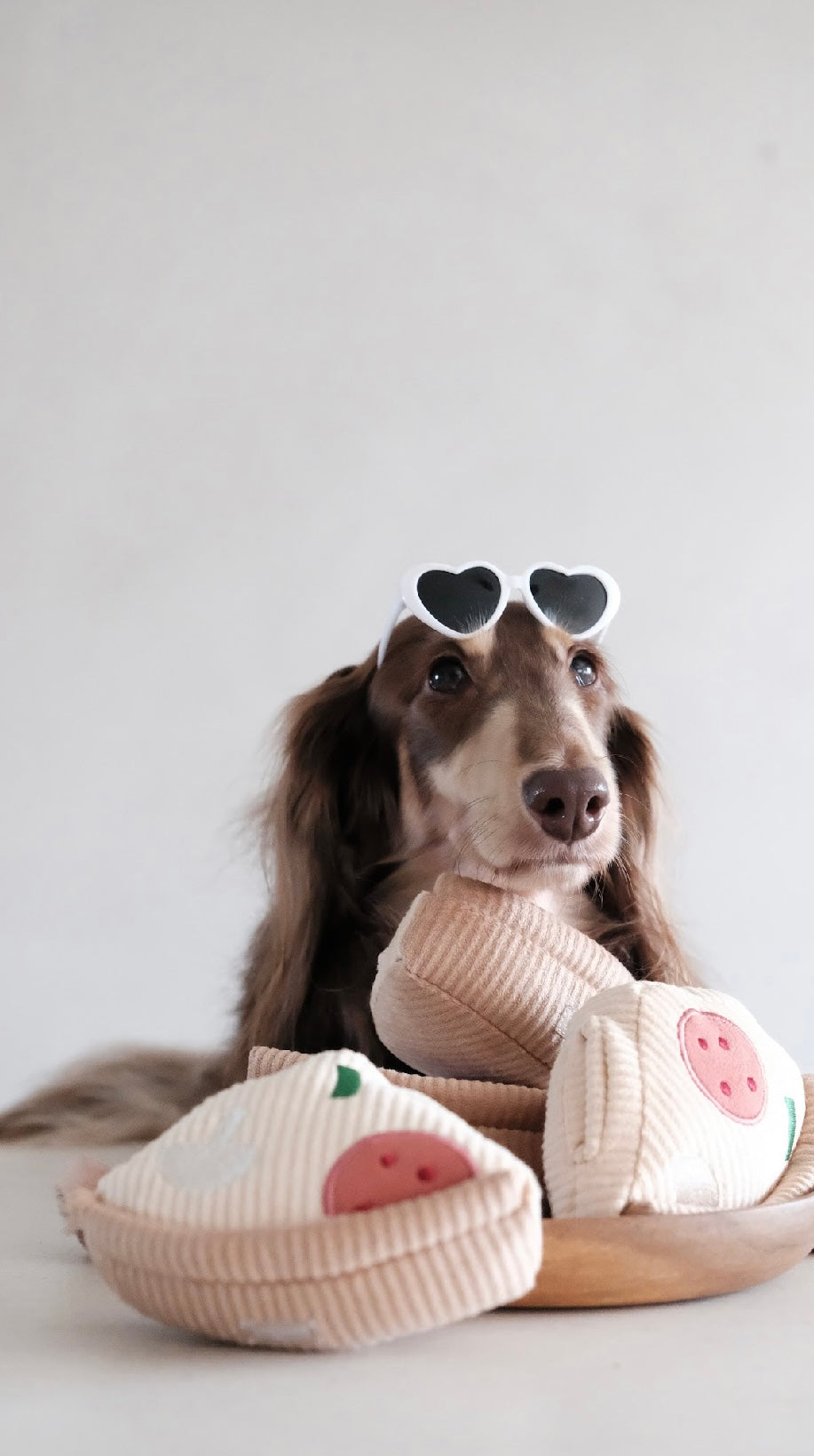 Hundespielzeug Pizza