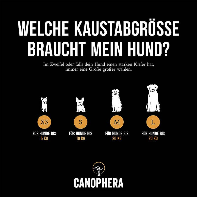 Hundekaustab aus Kaffeeholz