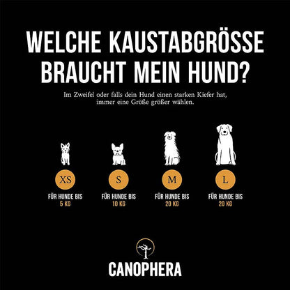 Hundekaustab aus Kaffeeholz