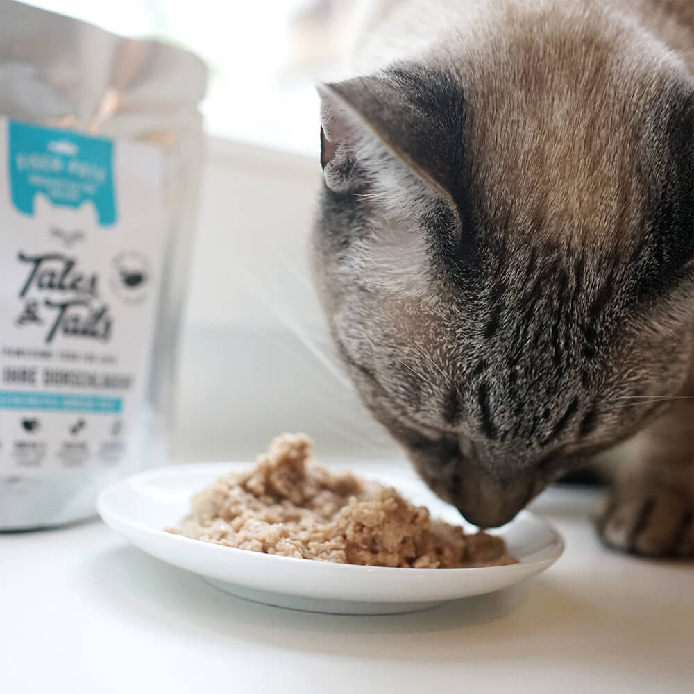 Tales & Tails Nassfutter für Katzen mit 100% Dorsch - 100g