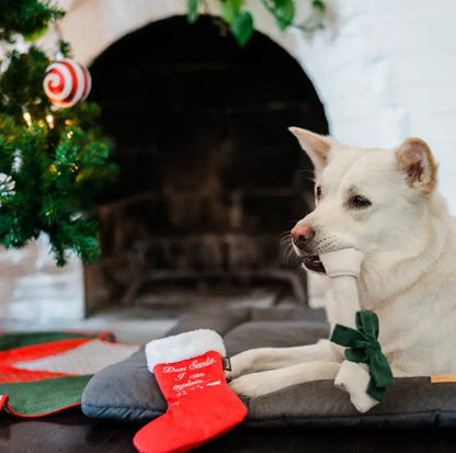 Hundespielzeug Weihnachtsstrumpf