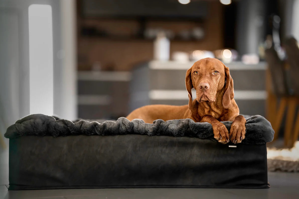 Hundebett Buddelbox - Dunkelgrau