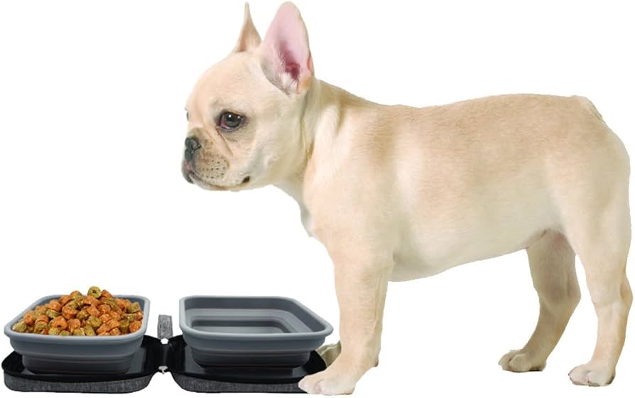 Portabowl Wasser- und Futternapf - Grau