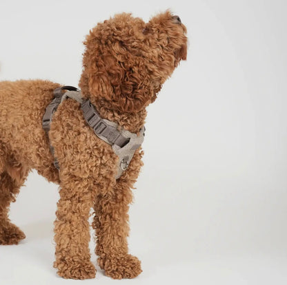 Geschirr Elma, Mocca