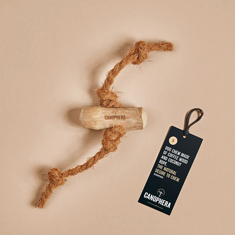 Hundekauspielzeug aus Kaffeeholz und Kokosseil