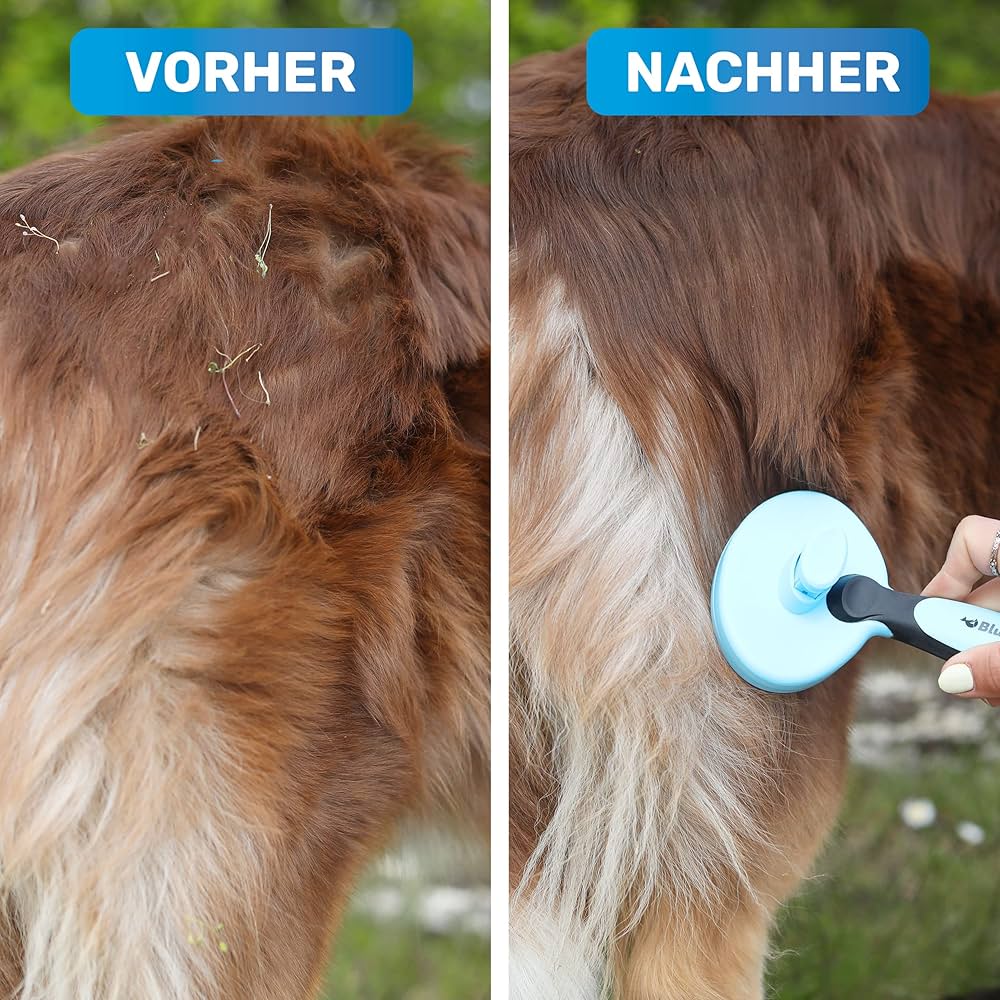 Zupfbürste für Fellwechsel blau