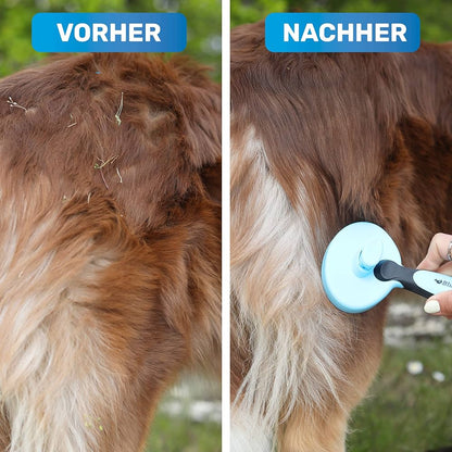 Zupfbürste für Fellwechsel blau