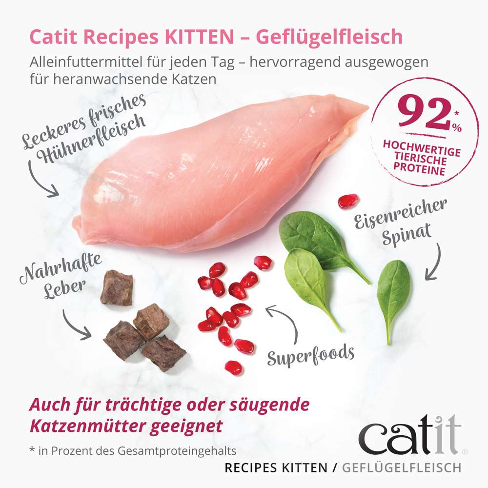 Catit Recipes Kitten