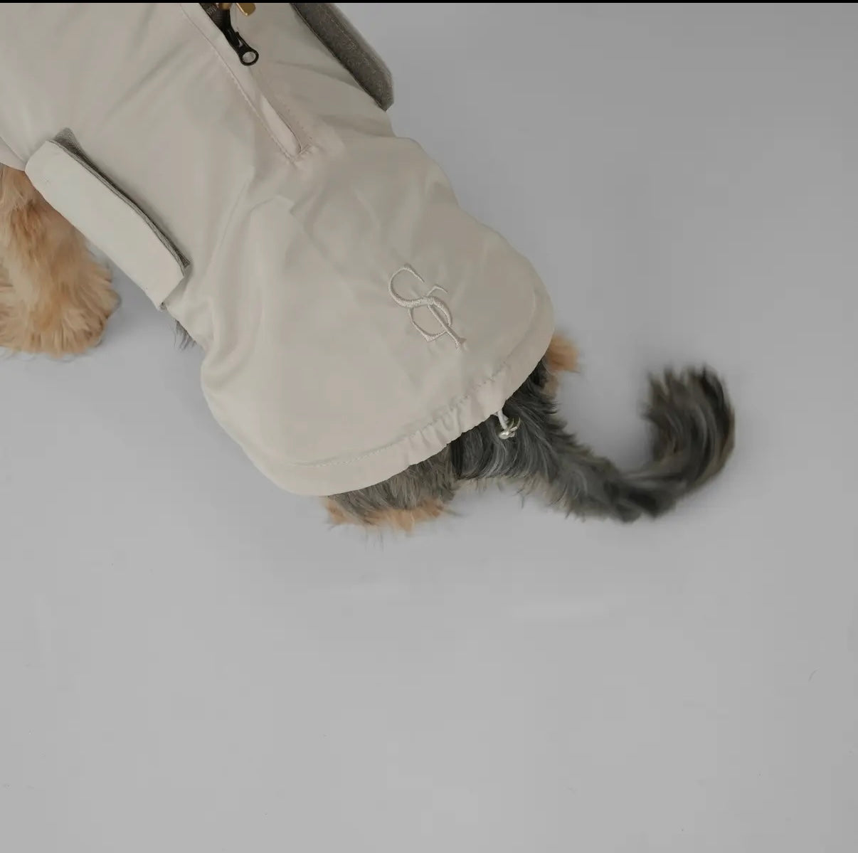 Hunderegenmantel Vega | Natur