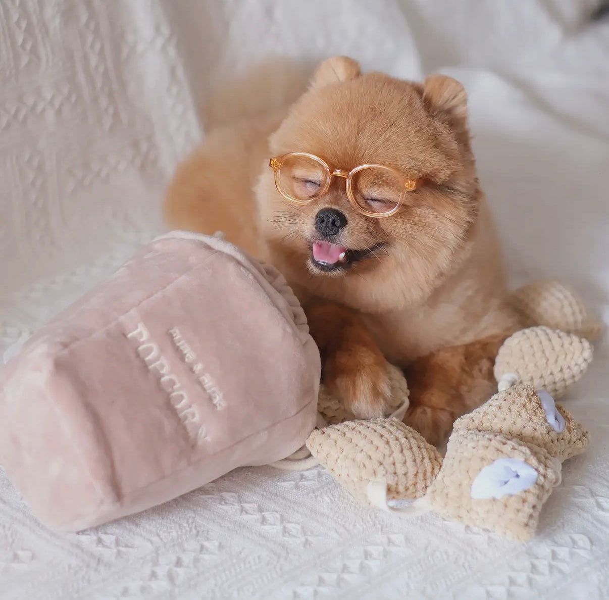 Popcorn Nasenarbeit Spielzeug