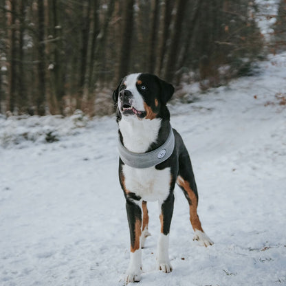 Schal Malmö 78 cm Polyacryl grau