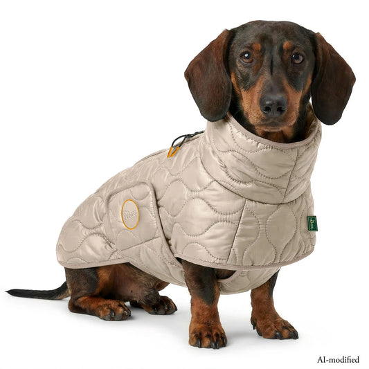 Hundemantel Dachshund greige