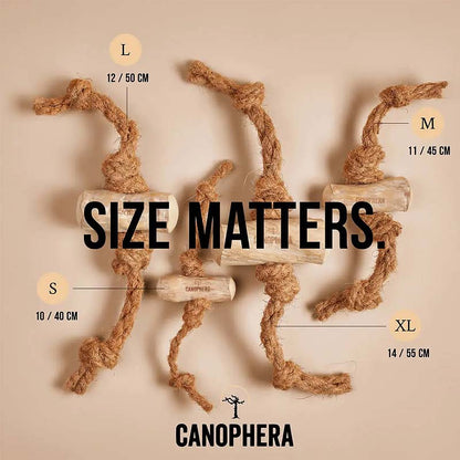 Hundekauspielzeug aus Kaffeeholz und Kokosseil