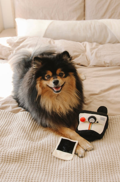 Hundespielzeug Kamera