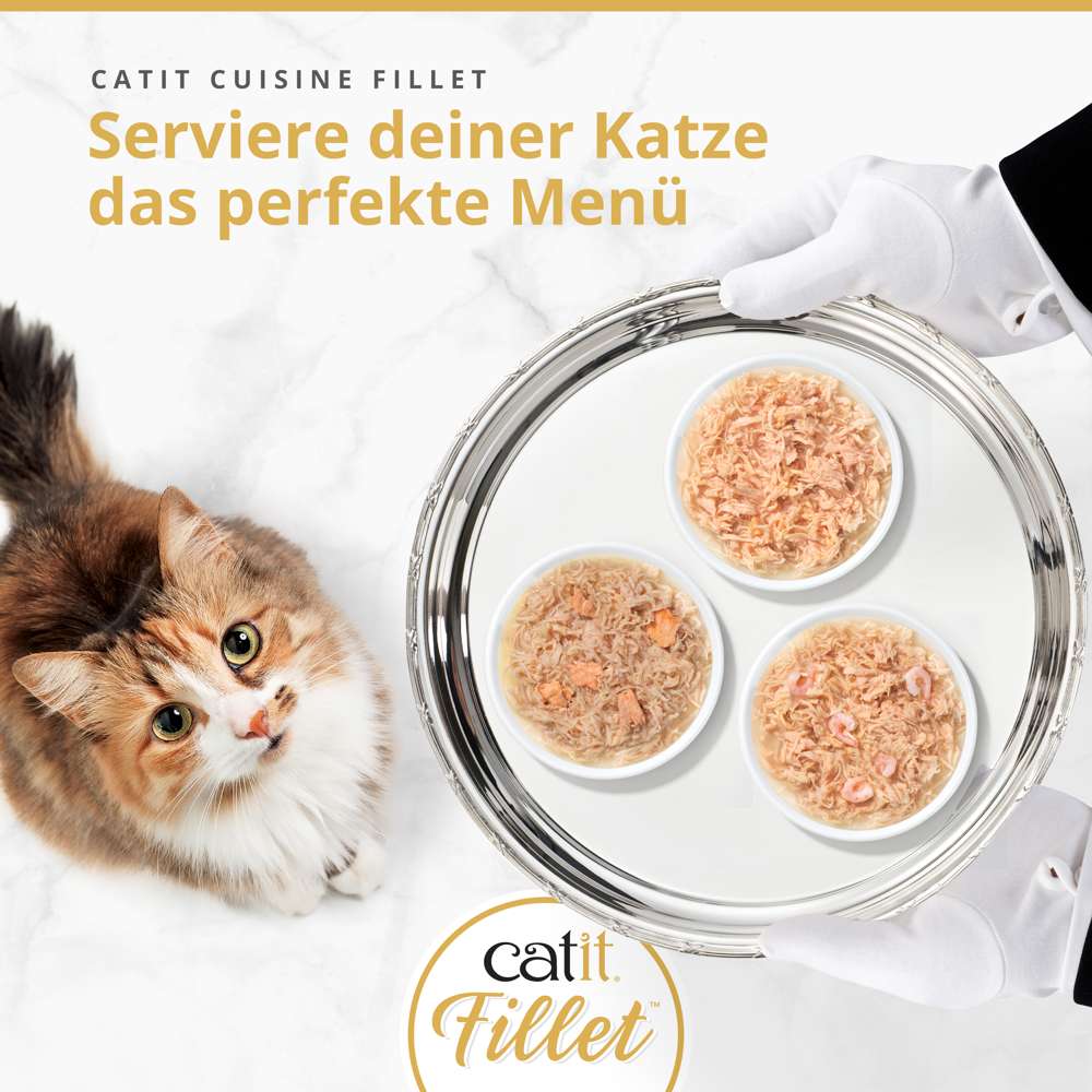 Catit Cuisine Huhn Fillet 75g
