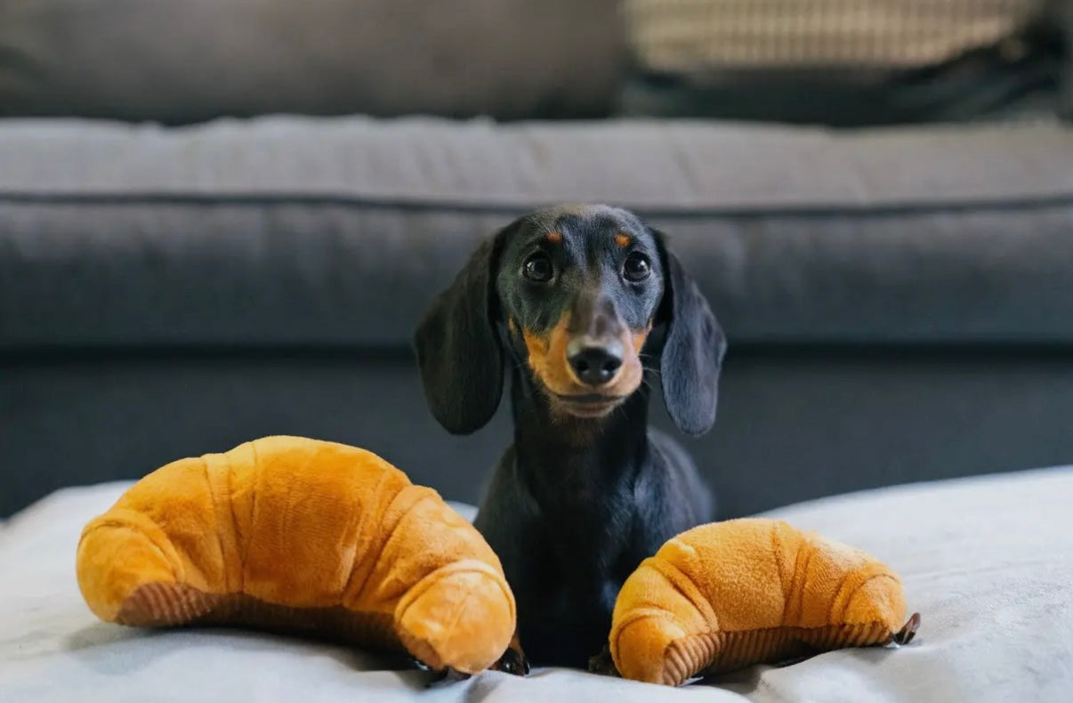 Hundespielzeug Croissant