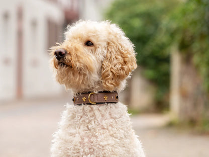 Halsband Dark Diamond - Taupe/Goldfarben