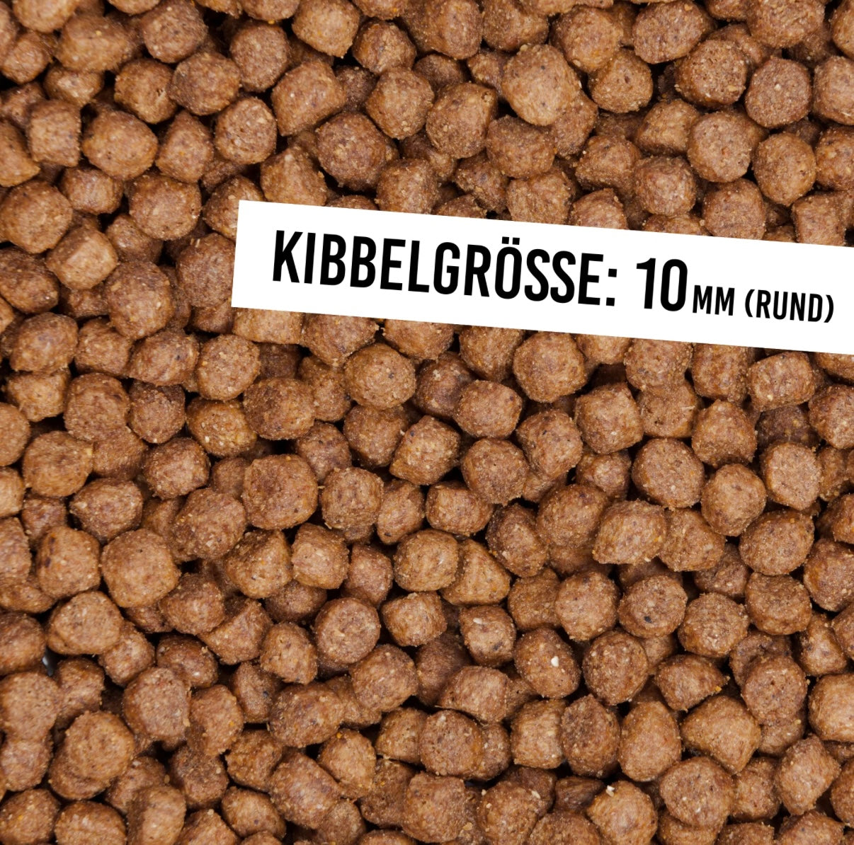 Schnauzenkumpel Lammragout Welpe