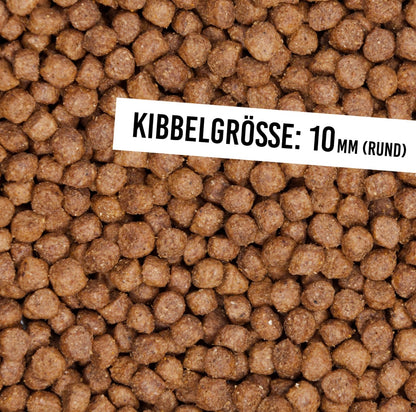 Schnauzenkumpel Lammragout Welpe