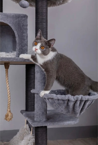 Catry Bradbury Kratzbaum, 7-stöckig, Grau