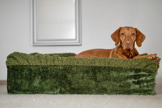 Hundebett Buddelbox - Grün