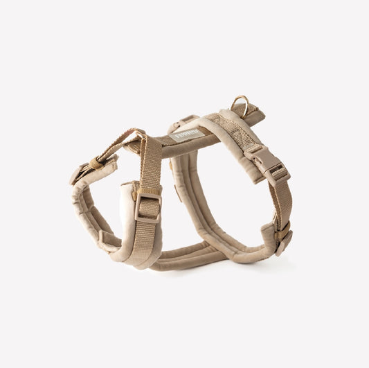 Sand - Samt Hundegeschirr