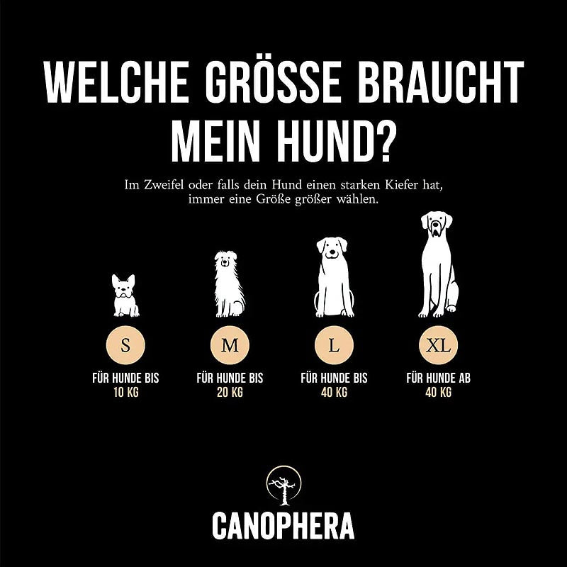 Hundekauspielzeug aus Kaffeeholz und Kokosseil