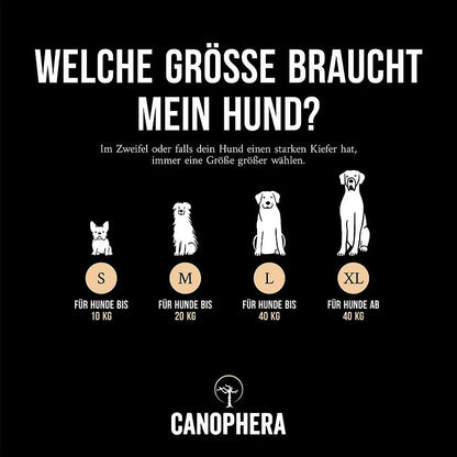 Hundekauspielzeug aus Kaffeeholz und Kokosseil