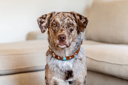 Halsband Ibiza - Cognac