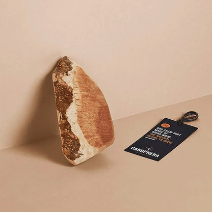 Hundekauwurzel aus Baumheide