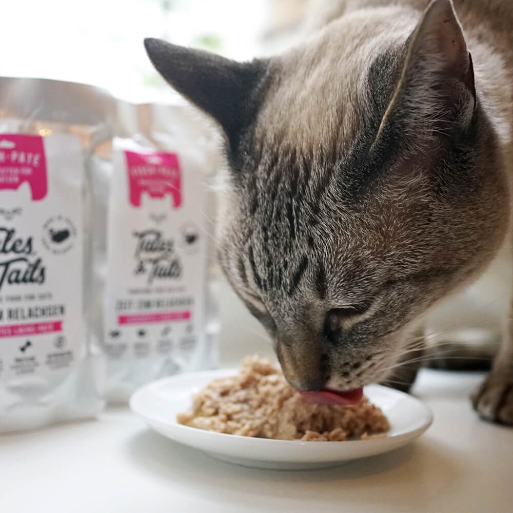 Tales & Tails Nassfutter für Katzen mit 100% Lachs - 100g