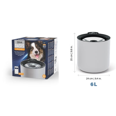 Oasis Fountain, Grau