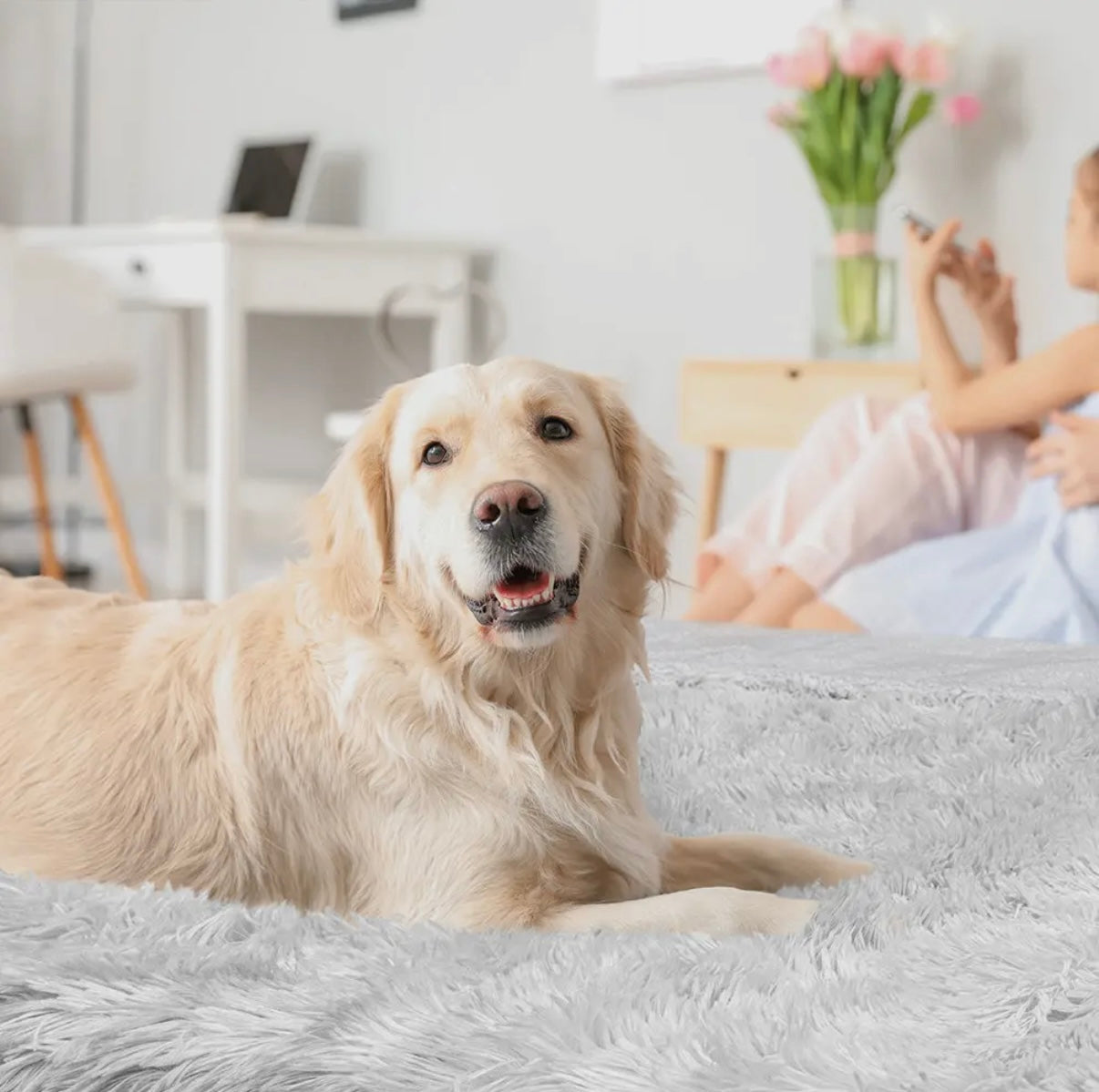 Wasserdichte Haustierdecke, Grau