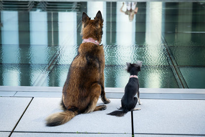 Halsband Nesthäkchen - Altrosa